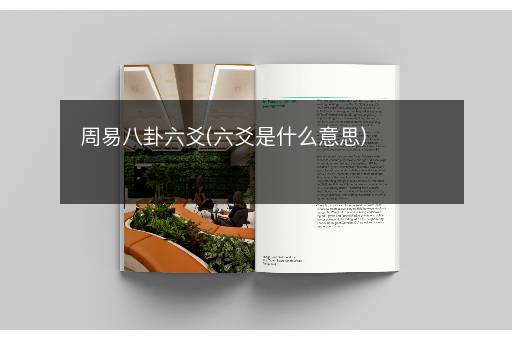 周易八卦六爻(六爻是什么意思)