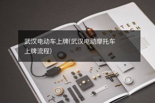 武汉电动车上牌(武汉电动摩托车上牌流程)