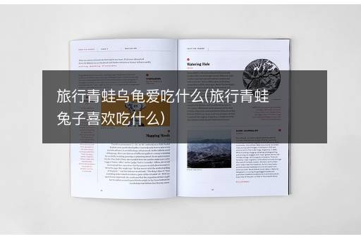 旅行青蛙乌龟爱吃什么(旅行青蛙兔子喜欢吃什么)