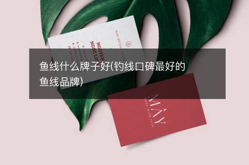 鱼线什么牌子好(钓线口碑最好的鱼线品牌)