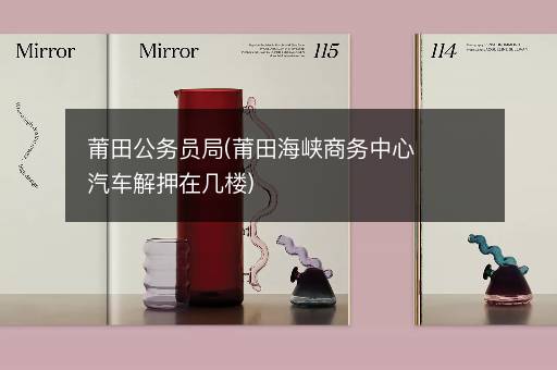 莆田公务员局(莆田海峡商务中心汽车解押在几楼)