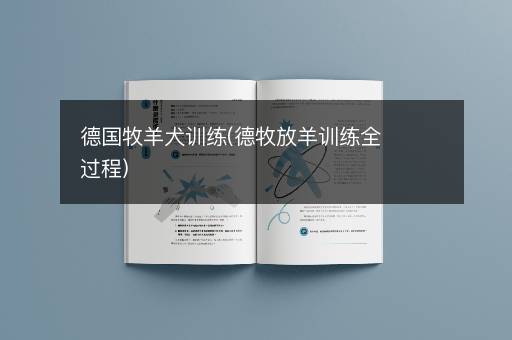 德国牧羊犬训练(德牧放羊训练全过程)