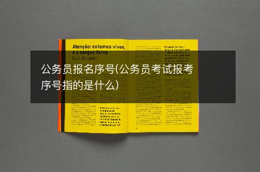公务员报名序号(公务员考试报考序号指的是什么)