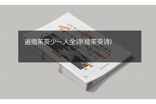 遍插茱萸少一人全诗(插茱萸诗)