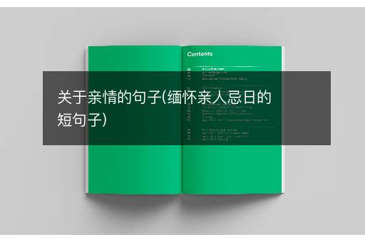 关于亲情的句子(缅怀亲人忌日的短句子)