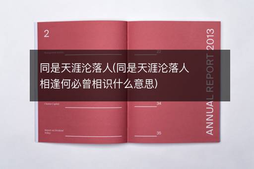 同是天涯沦落人(同是天涯沦落人相逢何必曾相识什么意思)