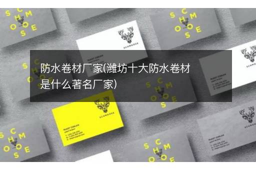 防水卷材厂家(潍坊十大防水卷材是什么著名厂家)