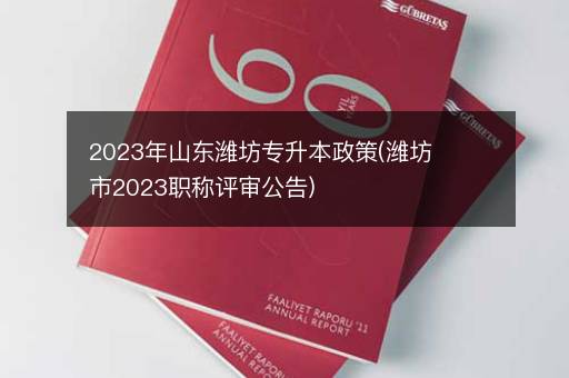 2023年山东潍坊专升本政策(潍坊市2023职称评审公告)