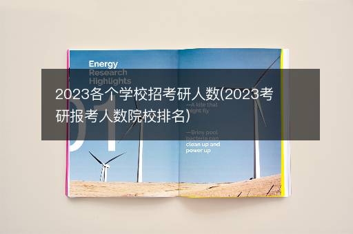 2023各个学校招考研人数(2023考研报考人数院校排名)