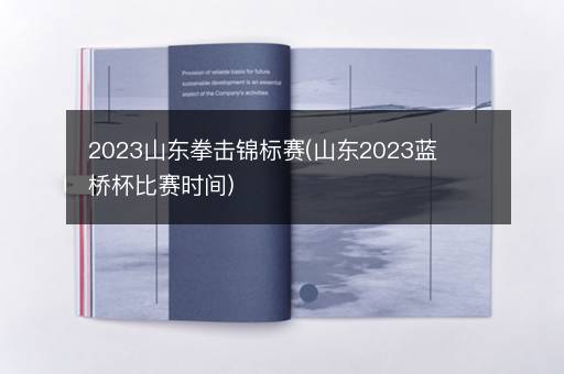 2023山东拳击锦标赛(山东2023蓝桥杯比赛时间)