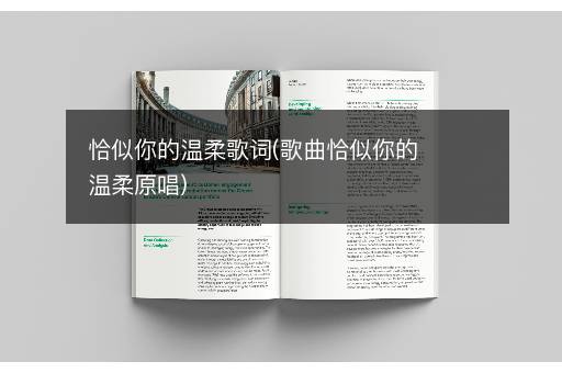 恰似你的温柔歌词(歌曲恰似你的温柔原唱)