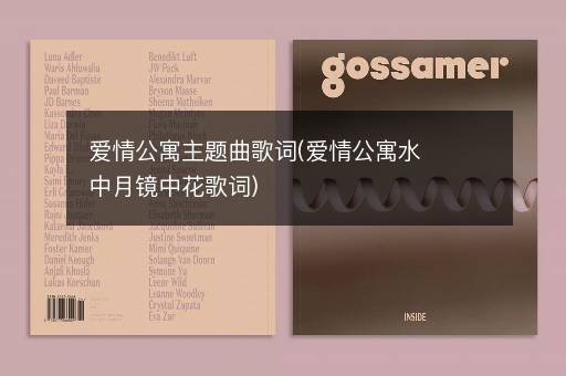 爱情公寓主题曲歌词(爱情公寓水中月镜中花歌词)