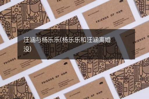 汪涵与杨乐乐(杨乐乐和汪涵离婚没)